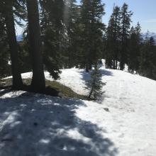 Green Butte Ridge below treeline