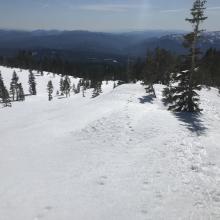 Green Butte Ridge near treeline, looking south