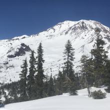 Looking at the Old Ski Bowl from near the top of Gray Butte