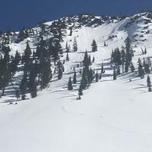 Small, inconsequential and old loose-wet, point release off Gray Butte, NW facing.