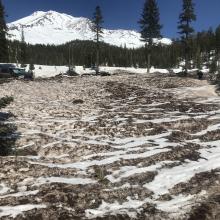 Our one and only from Bunny Flat trailhead, 6,950 feet. 