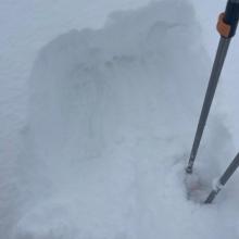 ~10  inches of new, moist snow measured at 6,500 feet on a southeast aspect of Gray Butte