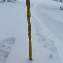 14.5 inches of new, moist snow measured at 7,500 feet on a southeast aspect of Gray Butte