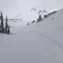 Old Ski Bowl area, near Red Butte and the east Wilderness boundary