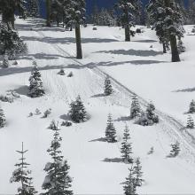 Small roller balls from snowmobile track on southwesterly aspect