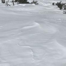 Snow surfaces near treeline