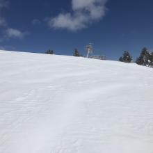 Snow surfaces example near treeline