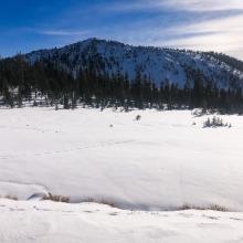 Lower Panther Meadows and Gray Butte