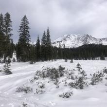 View from Bunny Flat