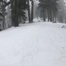 Conditions below treeline on Green Butte Ridge