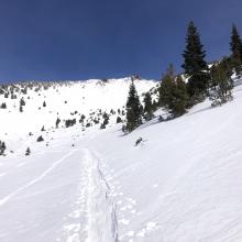 If skiing above treeline, stay in the middle of gullies. You will hit a rock or two.