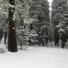 16 inch (40 cm) of snow at beacon checker.