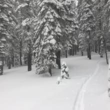 Ski track leading up Grey Butte