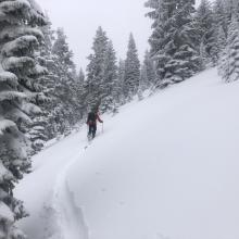 Breaking trail, Ski penetration (PS) =  8 -10 in