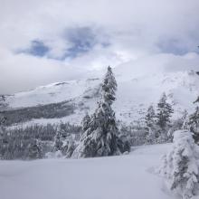 View of Old Ski Bowl and Mount Shasta