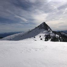 Looking south towards Yellow Butte from the east boundary.