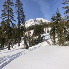 A deeper snowpack exists below treeline.