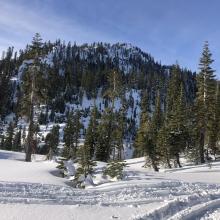 East aspect of Gray Butte. 