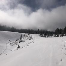 Various fog layers lingered below 7,000 feet