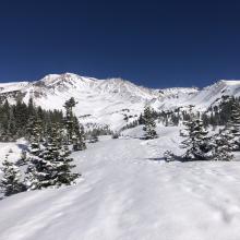 Looking up Avalanche Gulch, near treeline. 