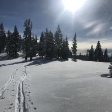 Skin track near the top of Parks Creek Summit