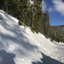 Minor roller ball action on sunny slopes