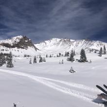 Looking up Old Ski Bowl, near treeline. 