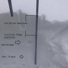 Quick look at layers ~ 7400 feet, north aspect. 