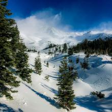 Below treeline, lower Avalanche Gulch, 1100 hours