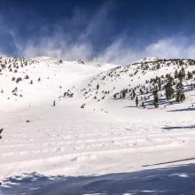 looking up Giddy Giddy Gulch