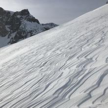 Wind texturing above treeline