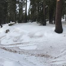 Heavy winds caused needle casts and debris to collect in concavities and old tracks below treeline