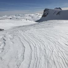 Fairly smooth and supportable wind packed powder, 9,000 feet