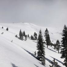 Near tree line, looking up at Sun Bowl and Green Butte.