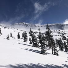 Wind affect on westerly aspect of Green Butte