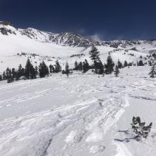 Looking up Avalanche Gulch