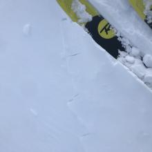 minor cracking of fresh wind slabs along ridge lines