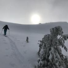 Near/Above treeline above lower Deadfall Lake