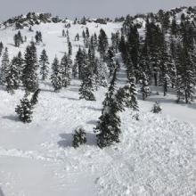 Yellow Butte, natural wind slab avalanche (D2)