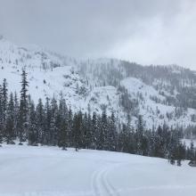 Cliff lakes basin, near treeline