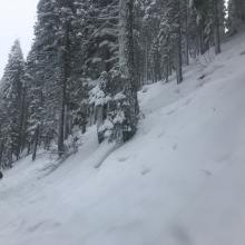 Additional D2 storm slab along the 31 road, east of the MS Ski Park, 6,300 feet, below treeline