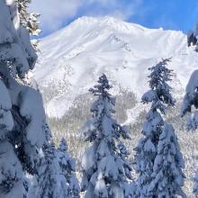 Photo of ski tour from McBride Springs to Sand Flat - Photo: R Lazzeri