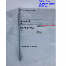 Soft (weaker) snow beneath the crust is resulting in poor stability tests but has not displayed propagation 