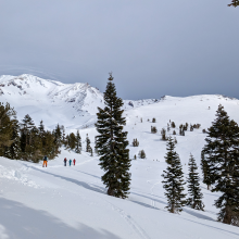 Green Butte Ridge near treeline