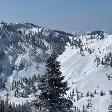 Trinity Alps, Trail Creek area, large slab avalanche