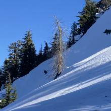 The crown from the recent slide was still visible in areas but the slope was reloading since the slide had occurred.