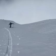Avalanche Gulch