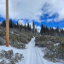 Power line road