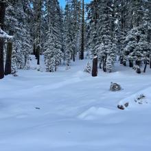 Example of below treeline snow coverage ~7,200 feet