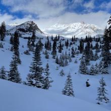 Example of near treeline snow coverage ~7,600 feet